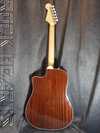 Fender SCE 3.jpg